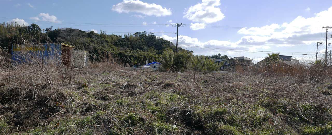 館山市の休耕地