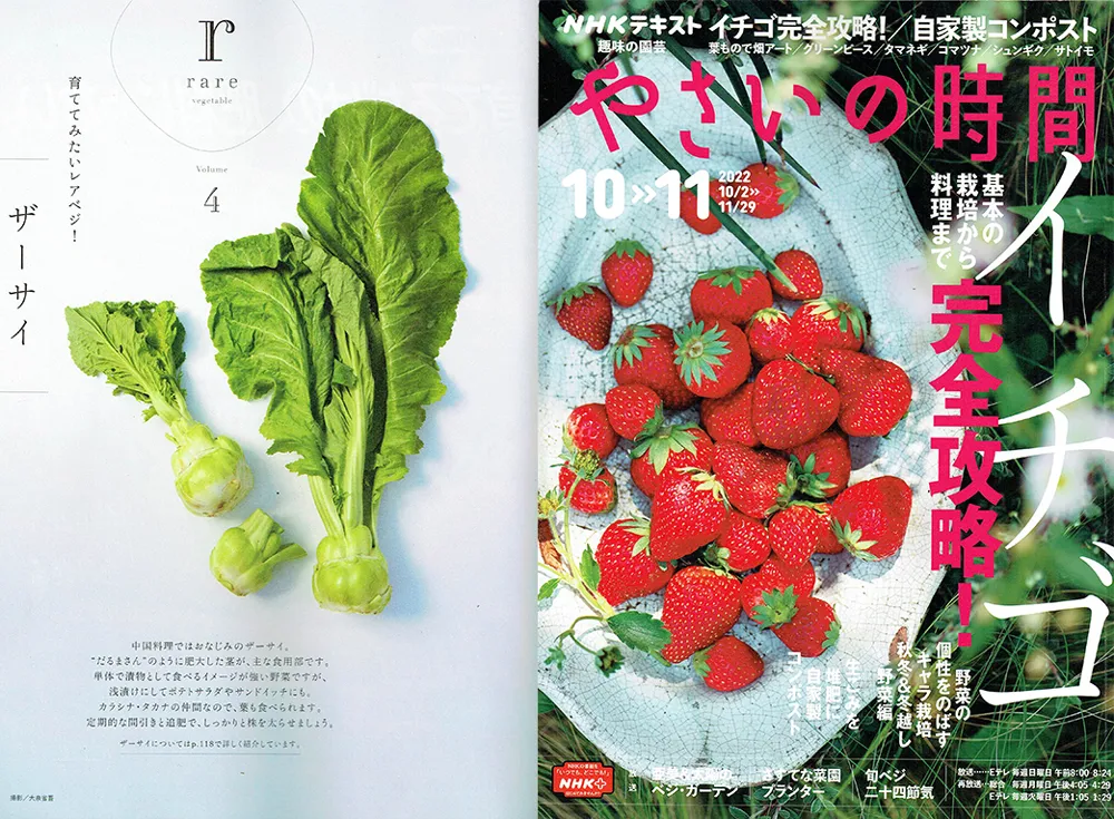 NHK趣味の園芸1ページ目